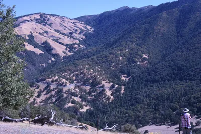 DSC_2230 (Large).JPG